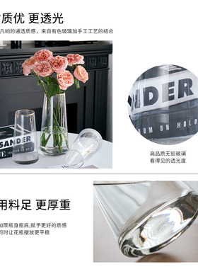 客厅餐桌透明玻璃花瓶摆件轻奢高级感鲜花水养插花玫瑰富贵竹花瓶
