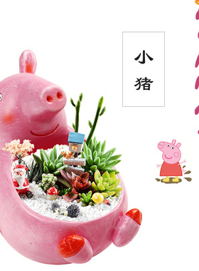 创意卡通花盆可爱小猪小象柯基