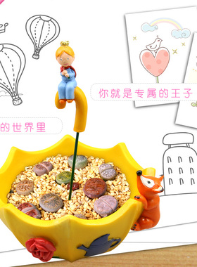 怀旧zakka猫咪老师小雨伞花盆