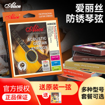 Alice Alice strings AW436 Pфосфора Бронзовая Баллада деревянная гитара 1 Строка Один набор из 6 Аксессуары Хён