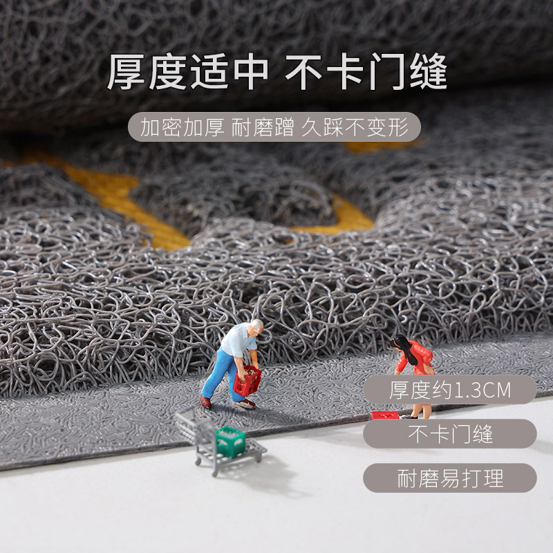 入户门地垫家用进门垫子2024新款丝圈脚垫大门口免洗门垫防滑地毯,淘宝优惠券,粉丝福利购,淘宝优惠卷