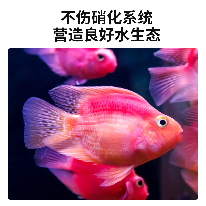 鹦鹉鱼专用观赏鱼寄生虫烂肉烂身烂鳍白点烂尾蒙眼凸眼水质护理剂-图3