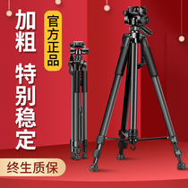 (Plus Coarse Carbon Steel) Caméra Tripod Portable Single Counter Tripod Micro Single Tripod Phone Photo Photography Videocamera Professional Shelf Apply Canon Conn Live Bracket Beauty Supplement Light