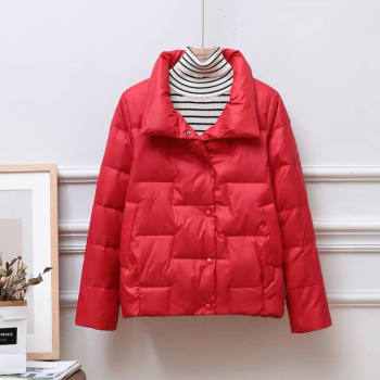 2023 ແບບວັນນະຄະດີ Stand Collar Down Jacket Cotton Women Winter Korean Style Loose Versatile Cotton Clothes Short Small Cotton Jacket Jacket