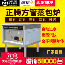 Zhengtum Commercial Steam-Bag Stove Steam Stove Energy Saving King Power Steam Steamed Stuffed Bun Machine Gas Steamed Buns Steam Stove Steamed Stuffed Bun Enteral Powder Stove