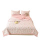 Class A cotton Xinjiang cotton summer quilt four-piece set