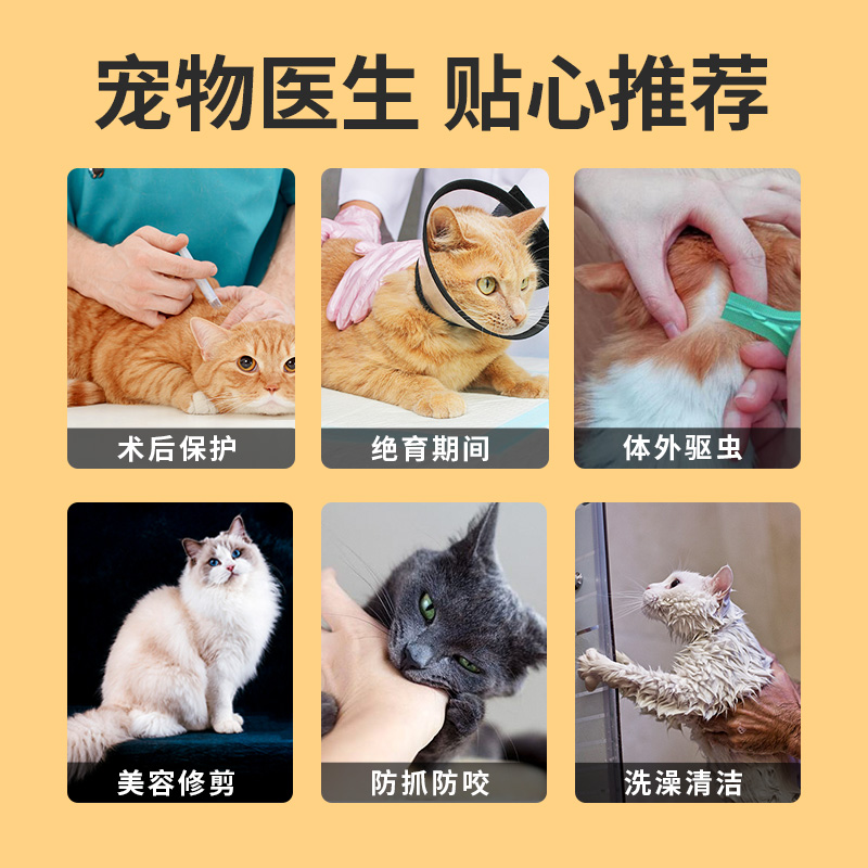 伊丽莎白圈猫绝育项圈幼猫防舔猫咪脖圈颈圈头套狗狗围脖宠物用品-图0