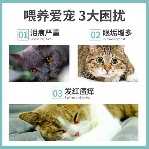 猫咪眼药水去泪痕神器猫眼药水狗狗滴眼液洗眼屎消炎宠物清洁用品-图0