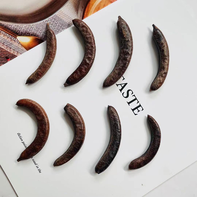 【皂荚果】植物标本果实果壳 创意复古干花环相框diy材料 幼儿园,淘宝优惠券,粉丝福利购,淘宝优惠卷