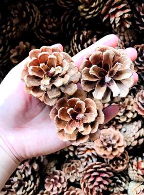 包邮松果装饰手工制作松果松球圣诞松果干花拍摄道具diy材料
