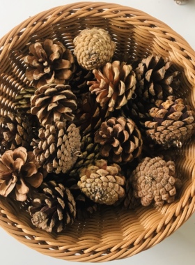包邮ZAKA天然东北油松干花包圣诞装饰带钉松果挂件摆件果摄影道具
