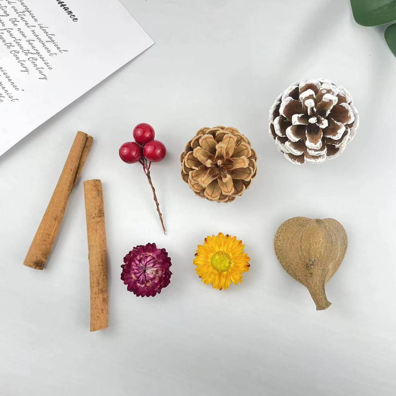 伴手礼礼盒配饰松果树叶肉桂柠檬片干花装饰材料diy植物画香薰,淘宝优惠券,粉丝福利购,淘宝优惠卷