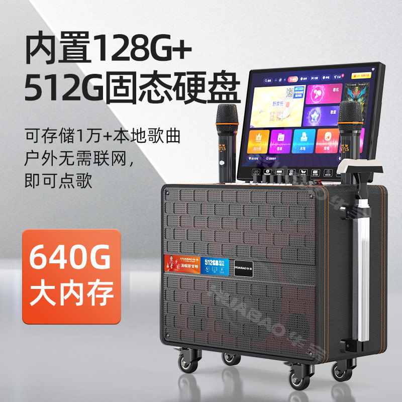  华宝影音KTV/卡拉OK音箱