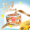 三胖蛋原味葵瓜子160gx3罐