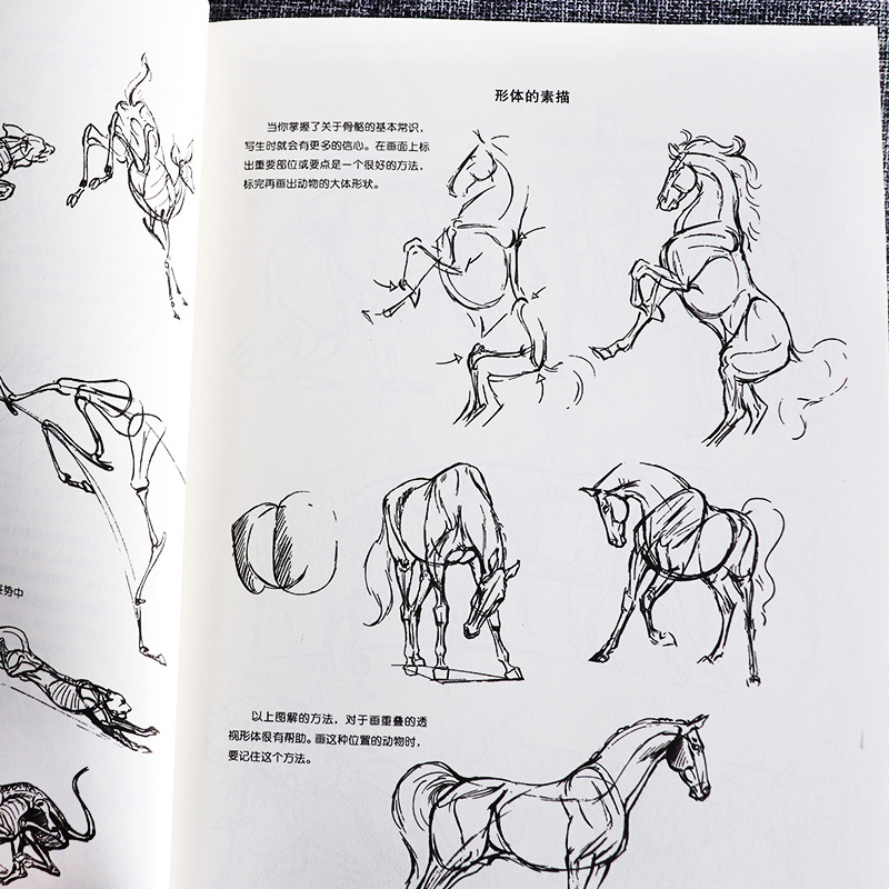 动物画技法 庚赫尔脱格伦 结构动态分析漫画手法 动物绘画技法经典图书 解析动物画 动物素描绘画理论技巧书 图例直观讲解 山东美 - 图3