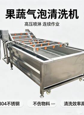 全自动气泡清洗机土豆红薯山去泥沙设备小龙虾果蔬喷淋漂洗机
