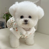 Демисезонный утепленный стеганый жилет, кардиган, осенний сезон, увеличенная толщина