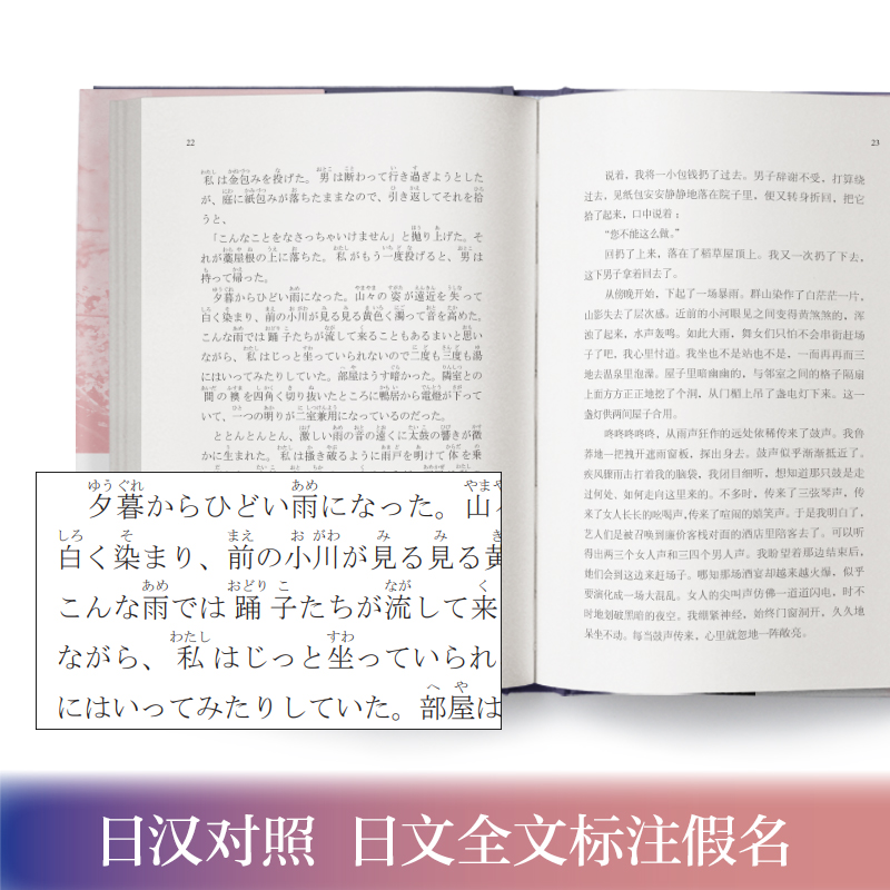 10本日本经典文学雪国伊豆的舞女人间失格我是猫心江户川乱步起风了罗生门宫泽贤治推理日汉对照夏目漱石太宰治日语阅读川端康成