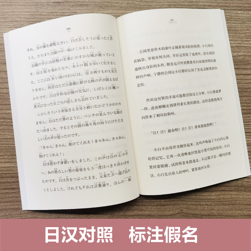 5本.日语分级阅读高级杜子春/起风了/人间失格/小狗小白/心日本经典文学读物节选日语能力考拓展阅读-图0