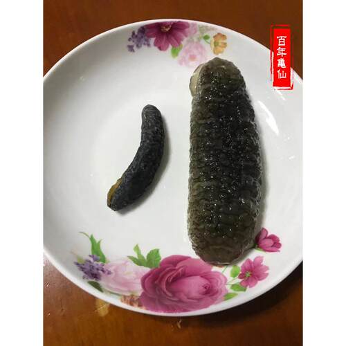 澳洲新西兰海参明秃参南极冷水北深海参孕妇纯淡干货正品礼盒500g - 图1