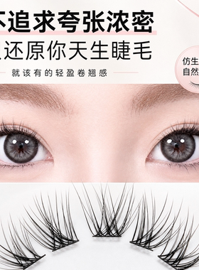 自然仿真分段浓密卷翘自粘假睫毛