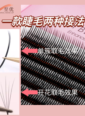 5D开花可单簇嫁接开花睫毛漫画感