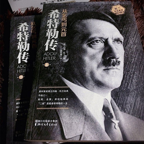 正版全3册我的奋斗希特勒传从乞丐到元首+二战战史托兰历史系列历史人物传记书通史二战书籍二次大战读物战争军事长篇小说书-图1