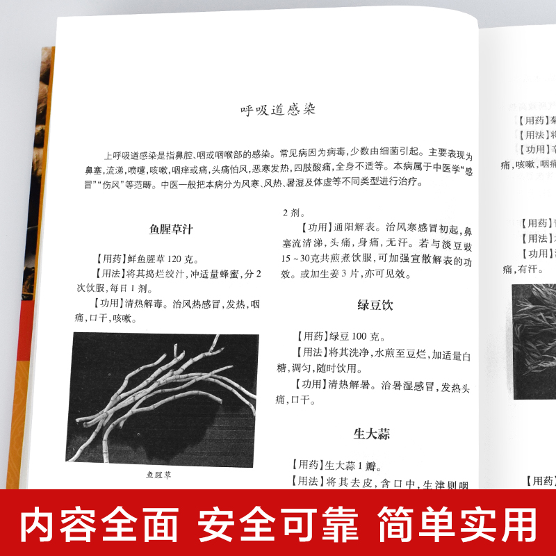 全套8册 中国土单方民间实用土单方小方子祖传秘方华佗养生本草纲目秘方汤头歌诀疑难病偏方民间适用养生大全中医书籍土单方书 - 图3