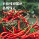 Limin Garlic Chili Sauce 2kg Noodle Sauce