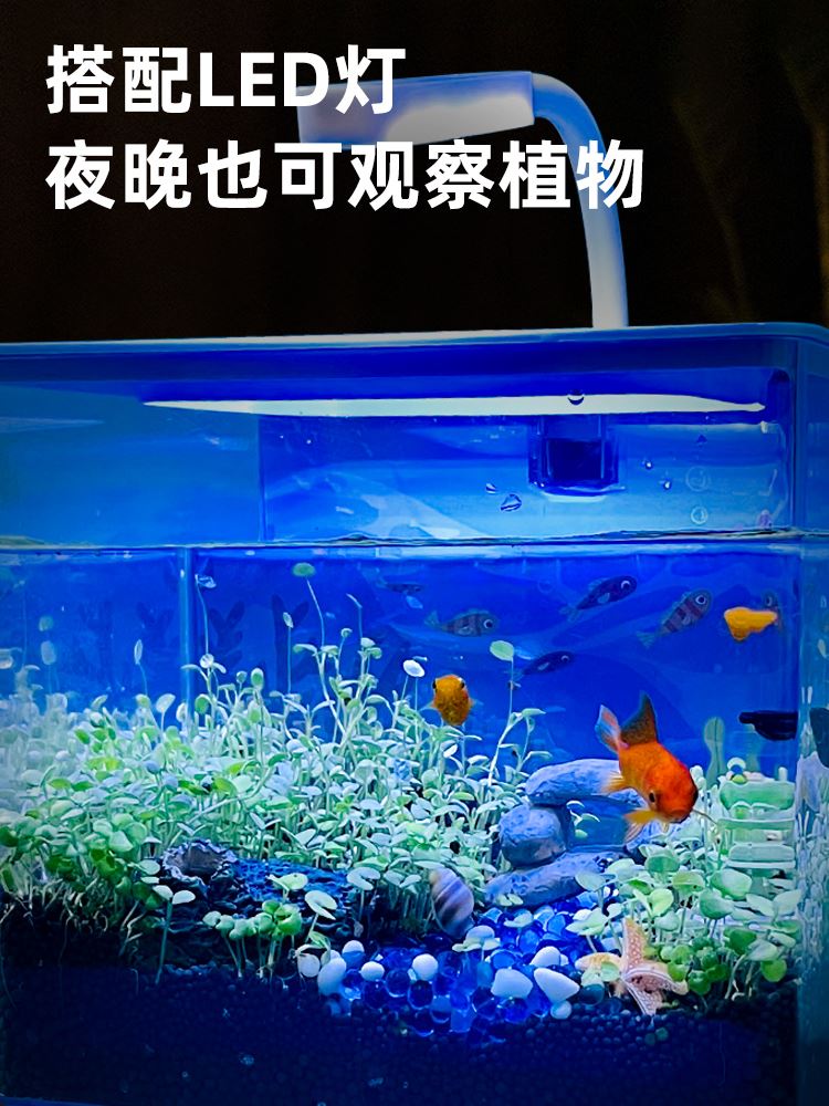 儿童10圣诞礼物DIY造景生态海底秘缸境养鱼种植水草植物男女玩具 - 图3