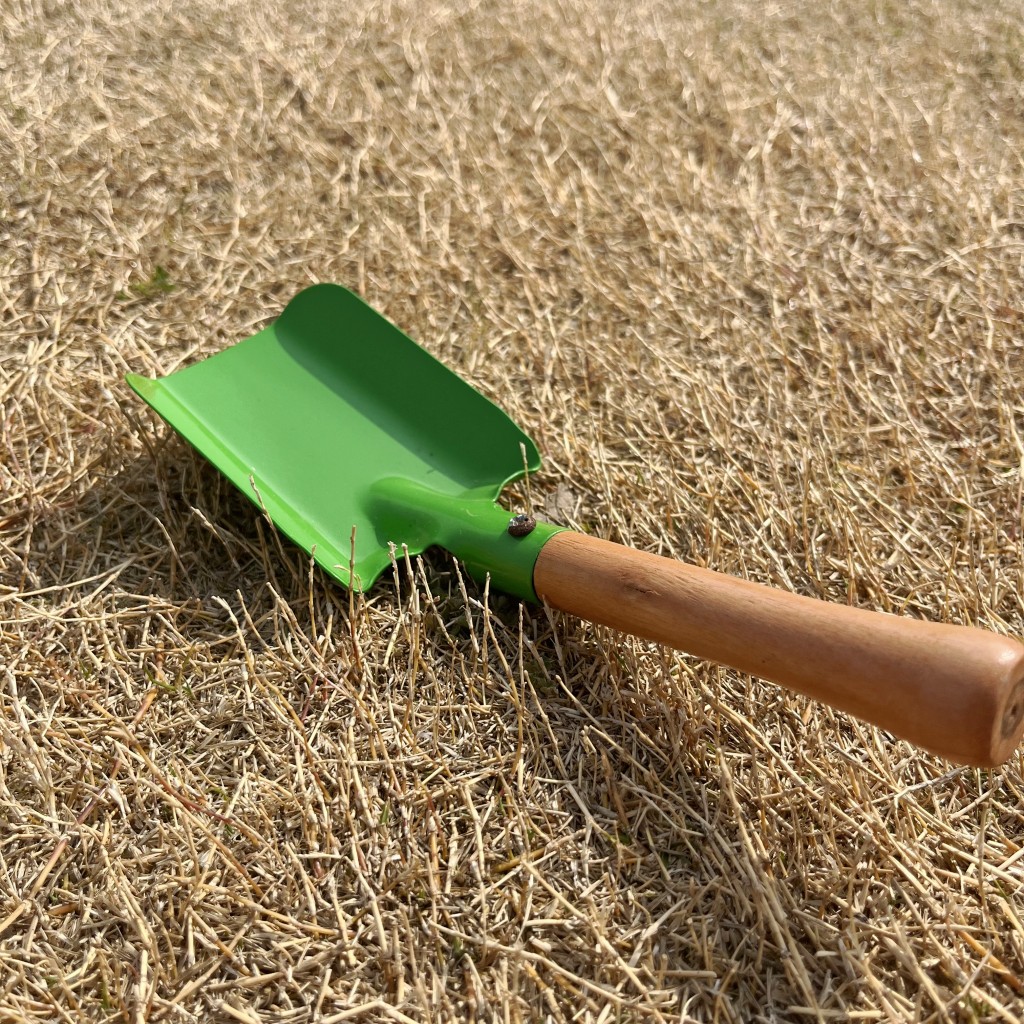 儿童户外捕捉挖蚯蚓挖泥土铲泥土种植盆栽养植物小铲子小铁锹玩具 - 图3