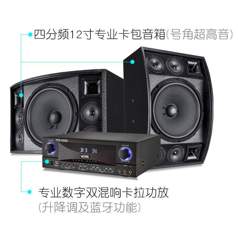 威仕vose vs-4312家庭卡拉ok点歌机 voseKTV/卡拉OK音箱