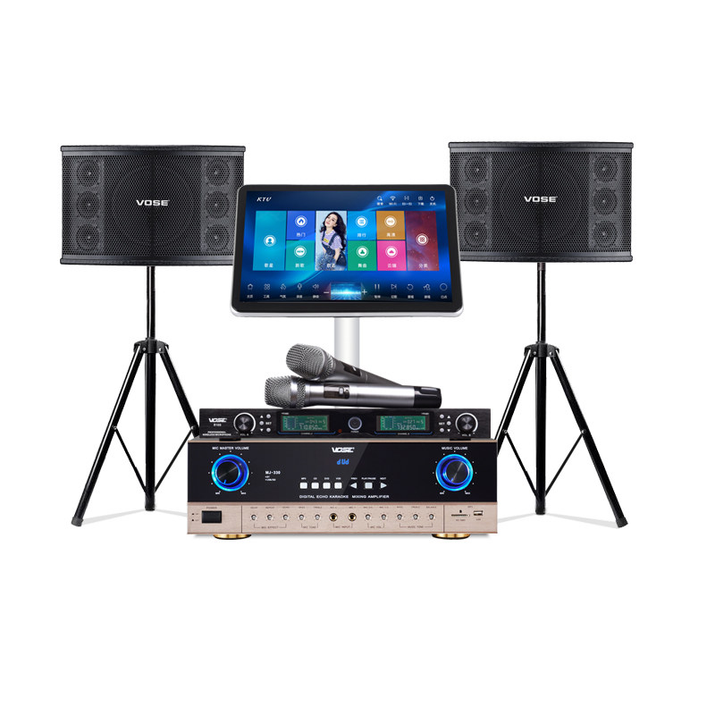  voseKTV/卡拉OK音箱
