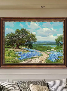 矢车菊客厅装饰画风景玄关肌理画
