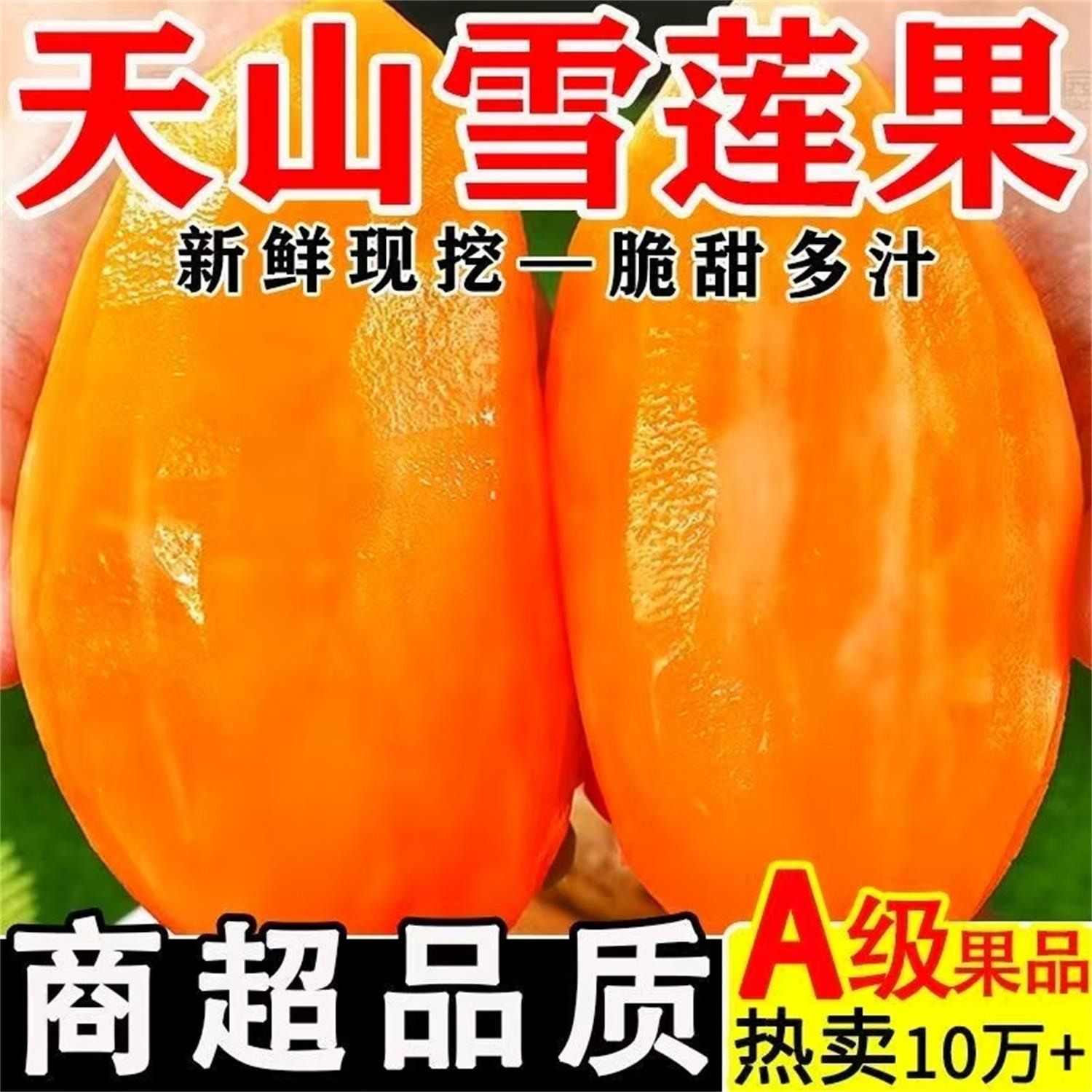 新果云南天山雪莲果新鲜水果黄心清甜特级当季整箱红泥沙大长果