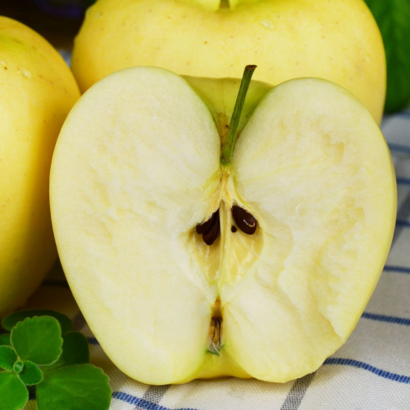 正宗烟台苹果水果黄元帅粉面黄金帅黄香蕉新鲜黄苹果山东特产整箱