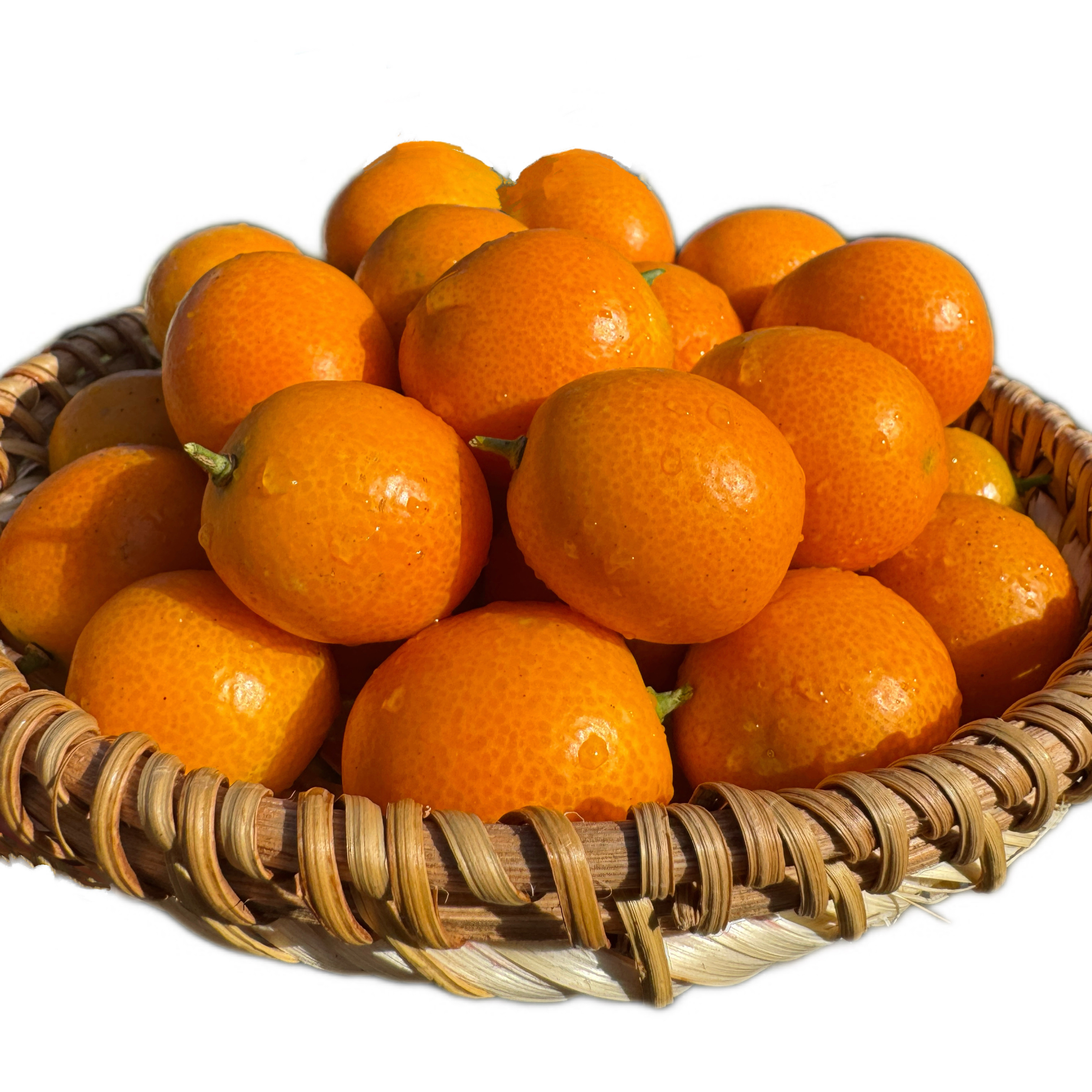 广西桂林阳朔油皮金桔新鲜金桔水果老品种酸甜大果特产顺丰包邮