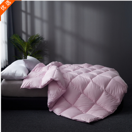 水洗棉羽丝绒春秋被酒店宾馆被芯加厚冬被夏被空调被子宿舍夏凉被,淘宝优惠券,粉丝福利购,淘宝优惠卷