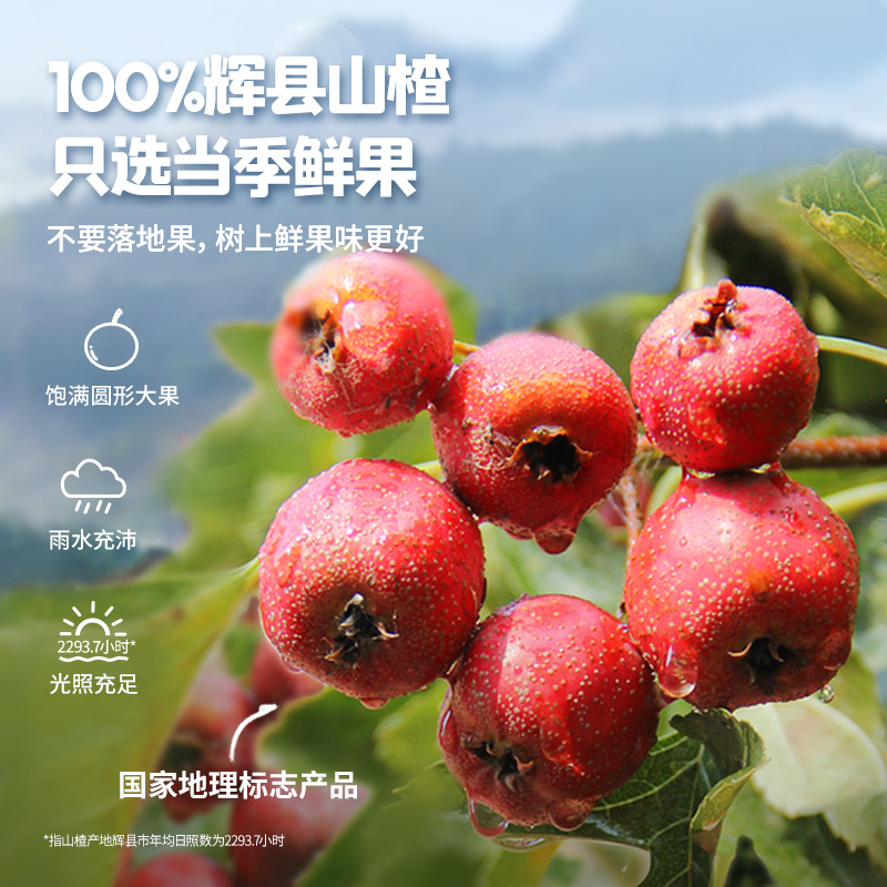 忆小口英氏鲜果山楂棒儿童零食水果条开胃益生菌0白砂糖