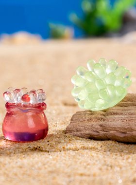 微景观简约创意夜光海螺珊瑚鱼缸水族造景 DIY装饰品微缩场景摆件