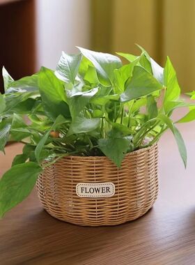 仿藤草编藤编花篮蝴蝶兰绿萝收纳盆绿植园艺插花篮落地编织花盆