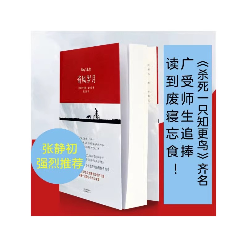 奇风岁月 男孩成长故事小说书  过目难忘的奇书 抒写每一个人的少年情怀 悬疑推理侦探小说 青少年成长励志课外书籍 新华正版 - 图0