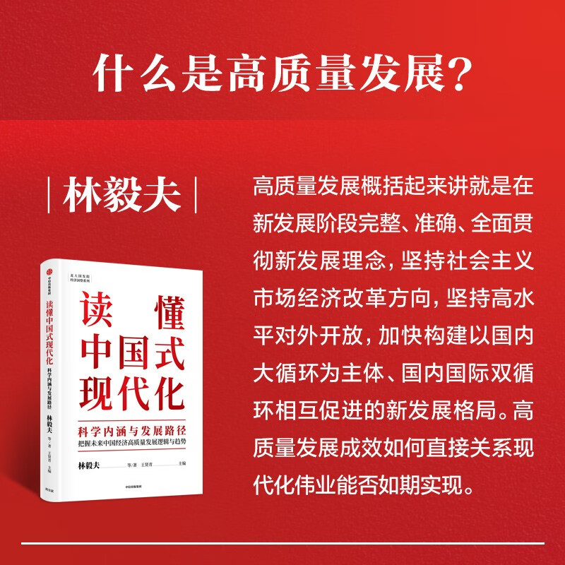 读懂中国式现代化 科学内涵与发展路径 林毅夫 姚洋 蔡昉 黄奇帆 著  中信出版社 中国经济理论产业升级 - 图1