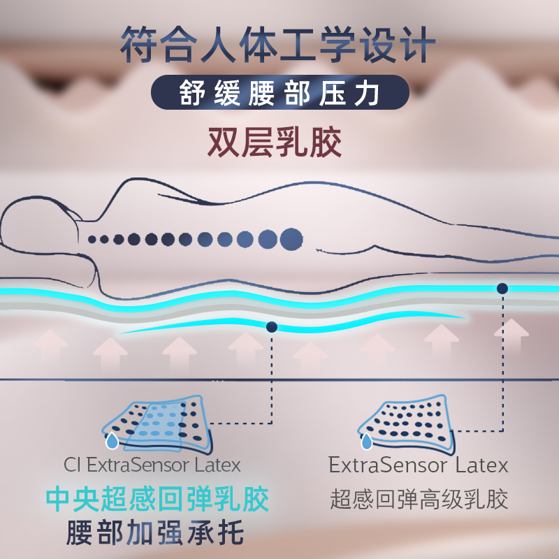 Sealy/丝涟 宸悠美姿弹簧海绵软硬适中偏硬五星酒店乳胶床垫 - 图0