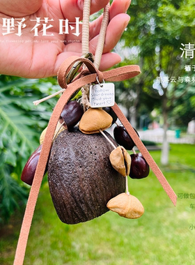 果壳铃挂件果壳种子壳挂铃