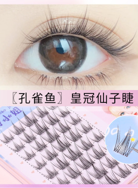 升级款～鱼尾漫画睫！透明梗假睫毛女自然款仙子仿真孔雀鱼眼睫毛