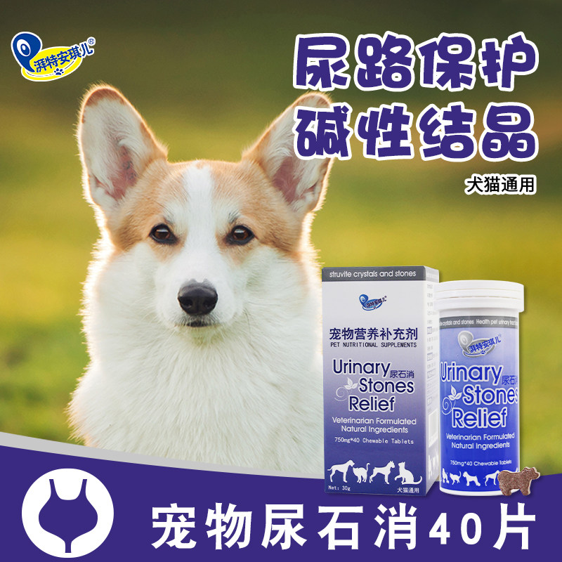 安琪儿尿消猫咪尿血尿道膀胱尿路石 嘉瑞盈宠物用品猫/狗保健品