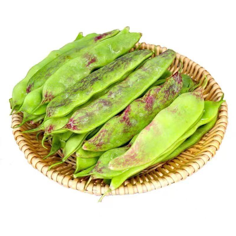 正宗东北油豆角现摘新鲜一点红开锅烂面豆角纯油豆九月青现发包邮,淘宝优惠券,粉丝福利购,淘宝优惠卷