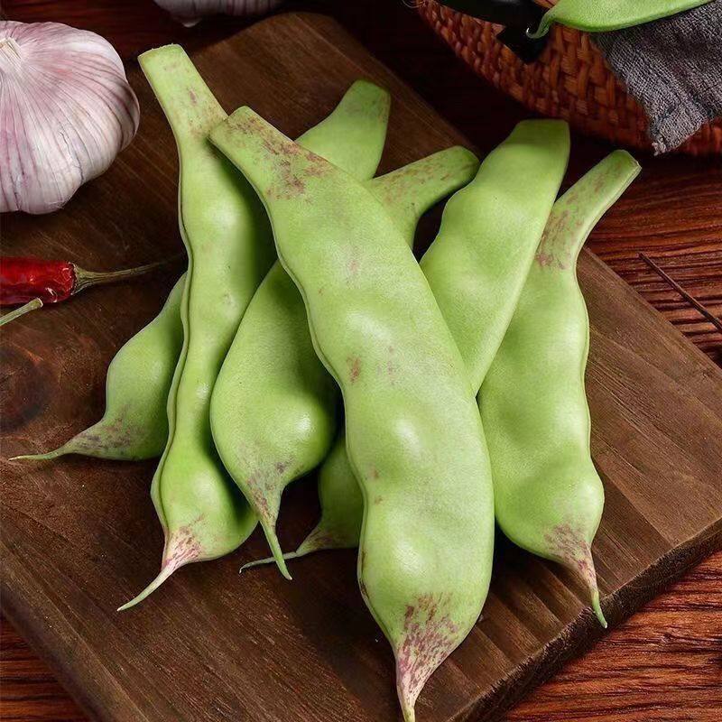 正宗东北油豆角现摘新鲜一点红开锅烂面豆角纯油豆九月青现发包邮,淘宝优惠券,粉丝福利购,淘宝优惠卷