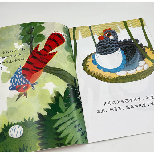 学前儿童分级阅读绘本2级b 水会变哦/边界/我们去探险/孵娃娃/胡萝卜先生的胡子 华东师范大学出版社 幼儿园中班故事书籍 下学期。 - 图2